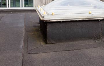 disadvantages of Ramsey Forty Foot flat roofs
